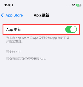 荥经苹果15维修中心如何让iPhone15APP自动更新