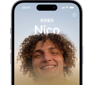 荥经苹果15服务站分享iPhone15实时语音留言开启方法 